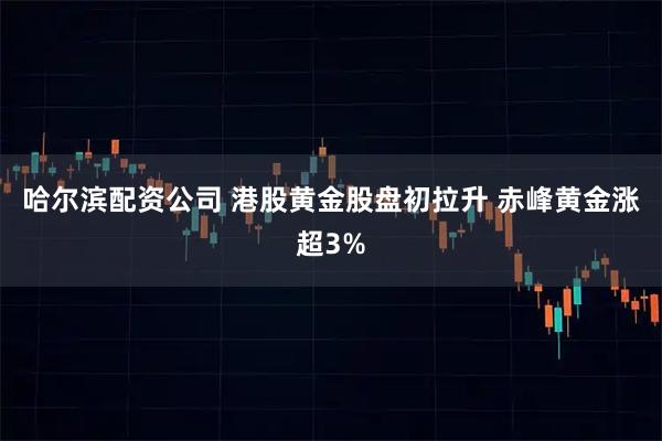 哈尔滨配资公司 港股黄金股盘初拉升 赤峰黄金涨超3%