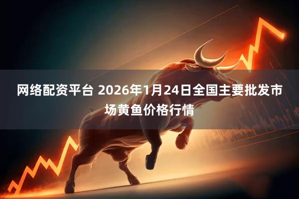 网络配资平台 2026年1月24日全国主要批发市场黄鱼价格行情