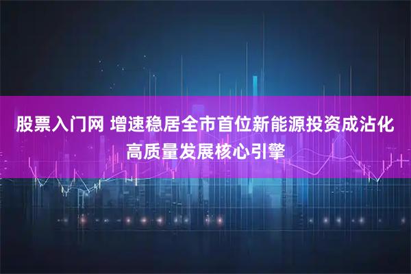 股票入门网 增速稳居全市首位新能源投资成沾化高质量发展核心引擎